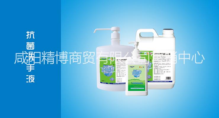 供應(yīng)*洗手液，洗手液，手消毒液，*洗手液，咸陽(yáng)洗手液，陜西洗手液，咸陽(yáng)*洗手液，陜西*洗手液