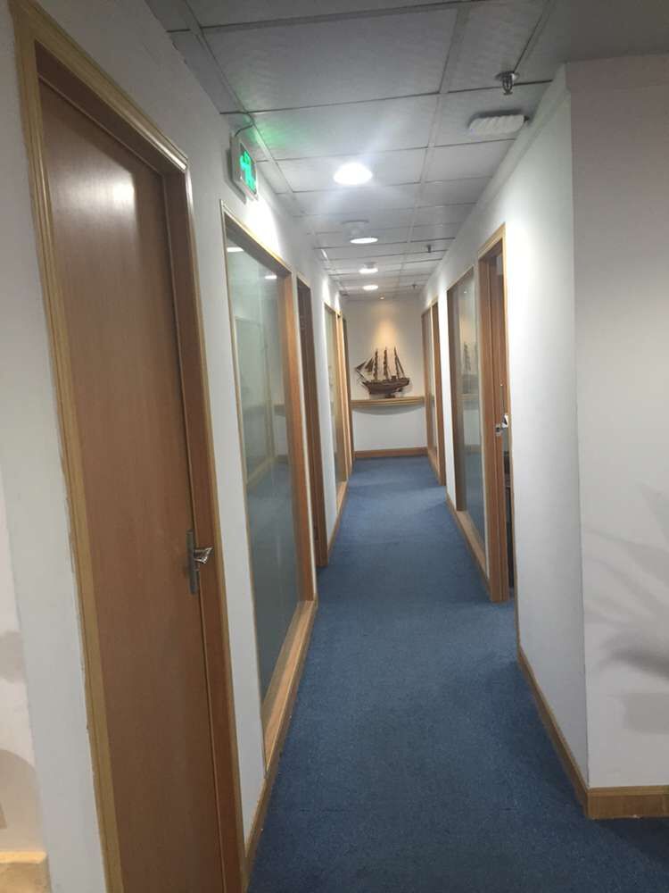 供應(yīng)用于聚氨酯軟泡的慢回彈贏創(chuàng)B8002