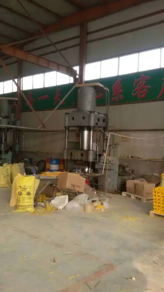 供應(yīng)蘭州中川機(jī)場鑄鐵爬梯塑鋼爬梯