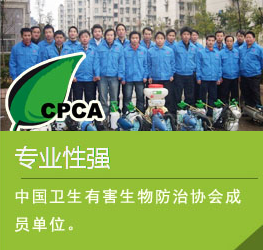 滄州專業(yè)除蟲除蟻,滅鼠滅蟑螂公司清波控蟲