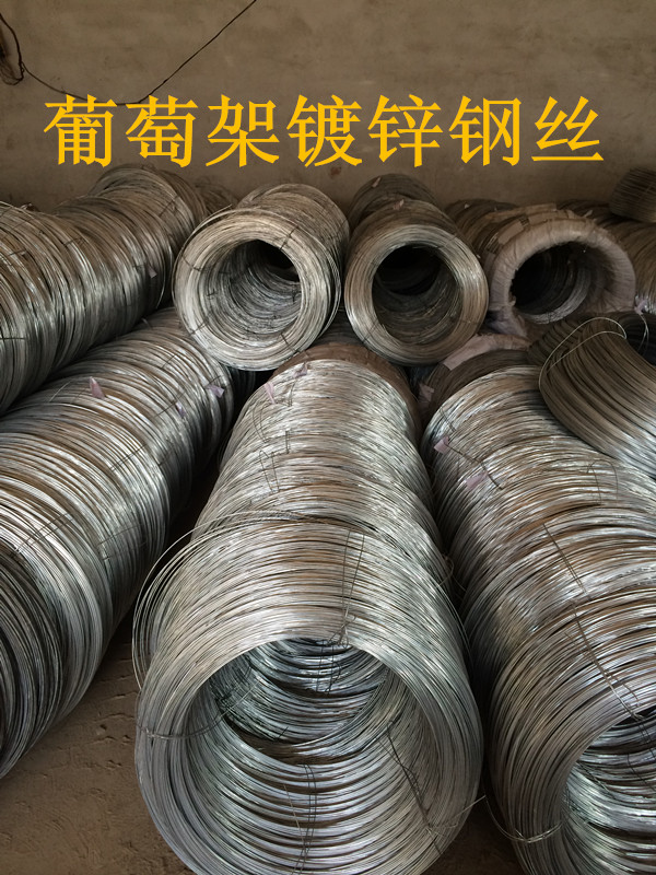 防銹耐用葡萄架鍍鋅鋼絲