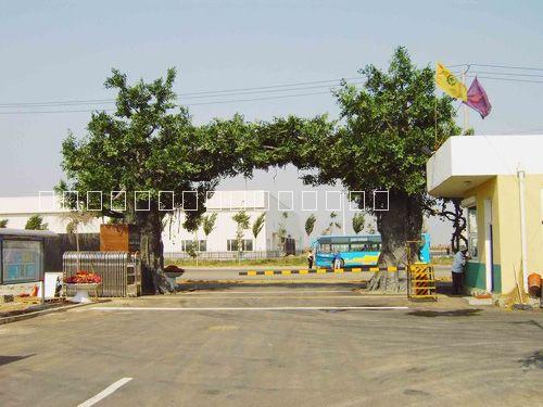 供應唐縣GRC塑山制作水泥假樹仿真樹大門施工