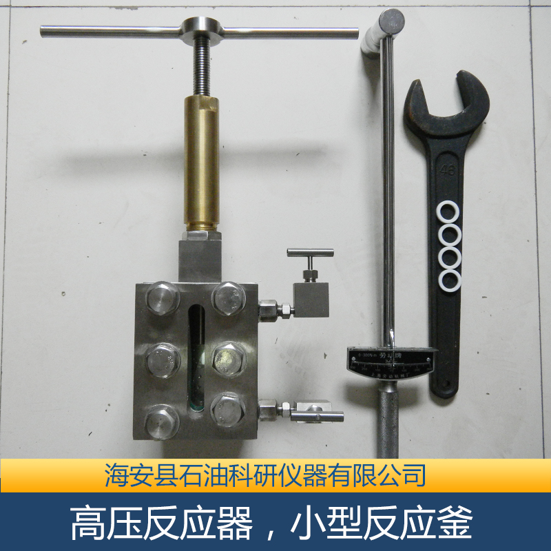供應(yīng)高壓反應(yīng)器，小型反應(yīng)釜 高壓反應(yīng)器小型反應(yīng)釜批發(fā) 高壓反應(yīng)器小型反應(yīng)釜廠家