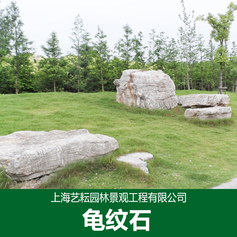 專業(yè)供應(yīng)龜紋石 景觀石 園林景觀石 假山設(shè)計施工