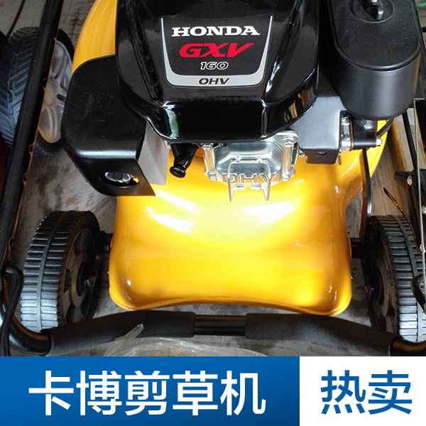 專業(yè)供應(yīng) 剪草機(jī) 草坪*剪草機(jī)  割草機(jī)