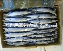 供應冷凍秋刀魚 冷凍秋刀魚廠家 冷凍秋刀魚供應商