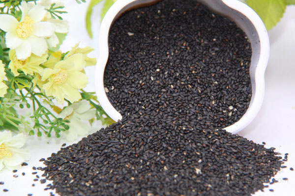 種子中轉香港包稅進口清關到深圳  種子，植物如何進口報關