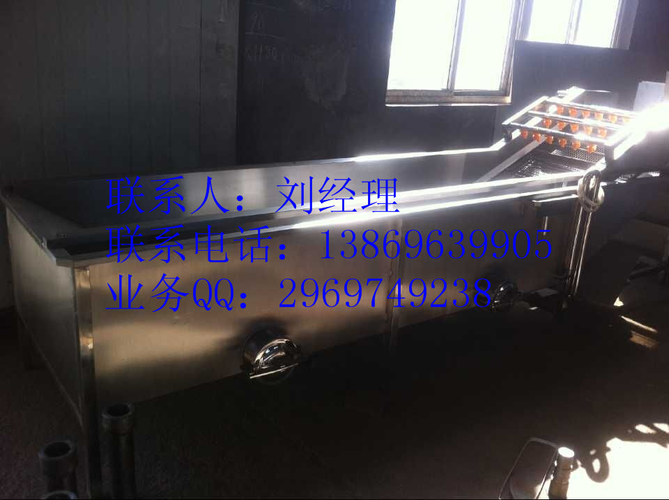 供應廠家直銷正康氣泡清洗機，草莓清洗