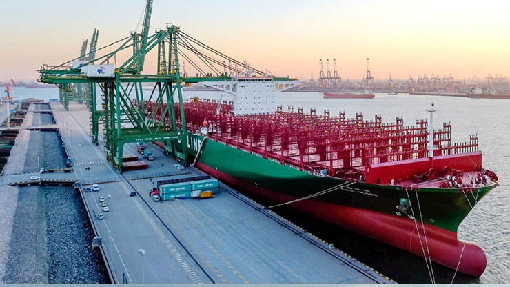 供應吳江到廣州集裝箱門到門海運專線