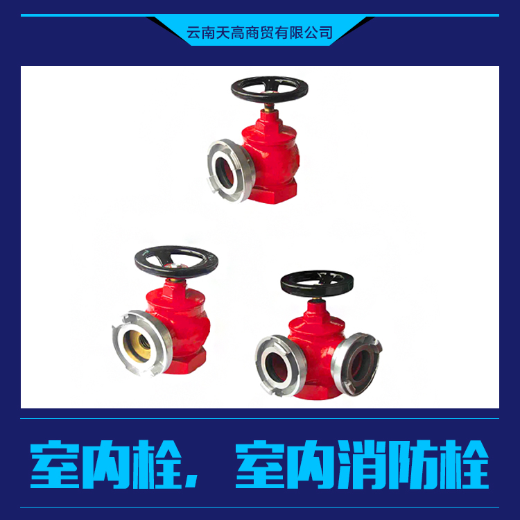 供應(yīng)室內(nèi)栓，室內(nèi)消防栓 安全性高 不銹鋼消火栓