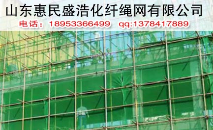 供應(yīng)盛浩化纖 熱銷安全網(wǎng) 耐用安全網(wǎng) 建筑安全網(wǎng)