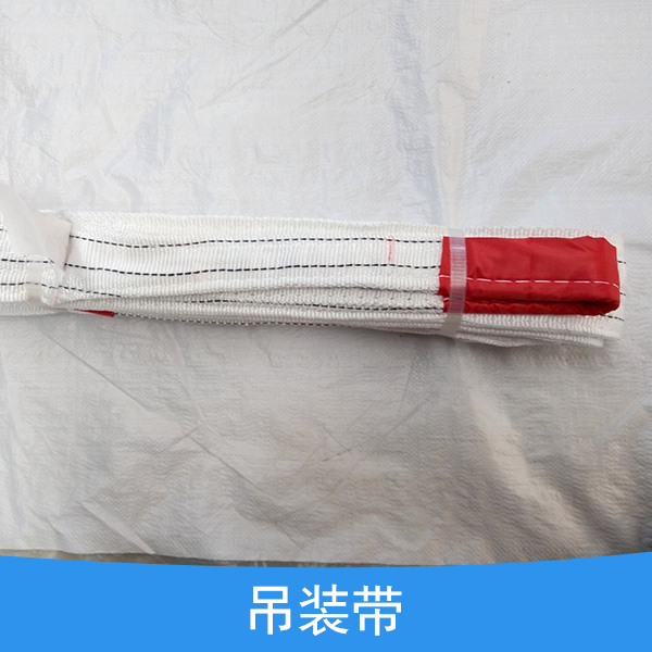 供應 河北吊裝帶 工業(yè)吊帶 起重吊裝帶 批發(fā)吊裝帶