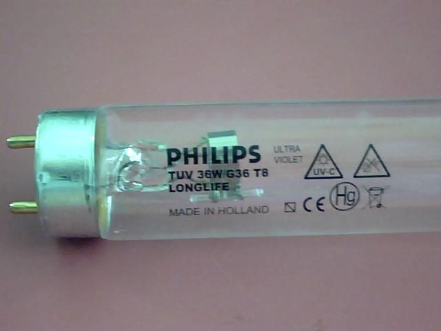 *消毒 飛利浦紫外線*燈 TUV36W價(jià)格