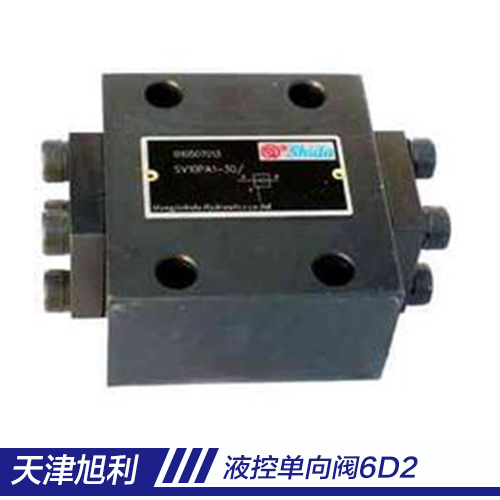 供應(yīng)寧晉液控單向閥6D2天津供應(yīng)商-中天液控單向閥8D2a天津供應(yīng)商-*液控單向閥4D2天津生產(chǎn)廠家