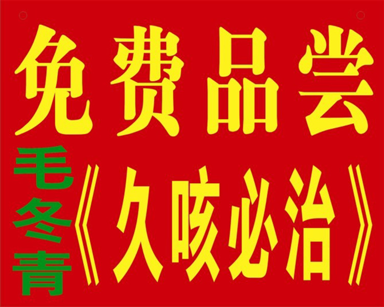 供應(yīng)無(wú)錫地區(qū)毛冬青大葉茶批發(fā) 量大優(yōu)惠
