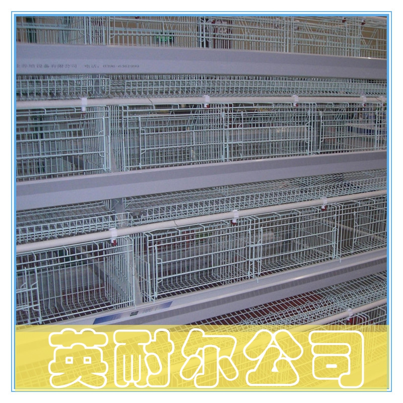不生銹的肉雞籠|各種肉雞籠|英耐爾雞籠