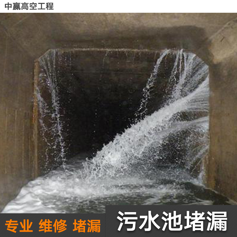 供應(yīng)污水池堵漏施工 污水池膜結(jié)構(gòu) 污水池加蓋 寶雞污水池堵漏