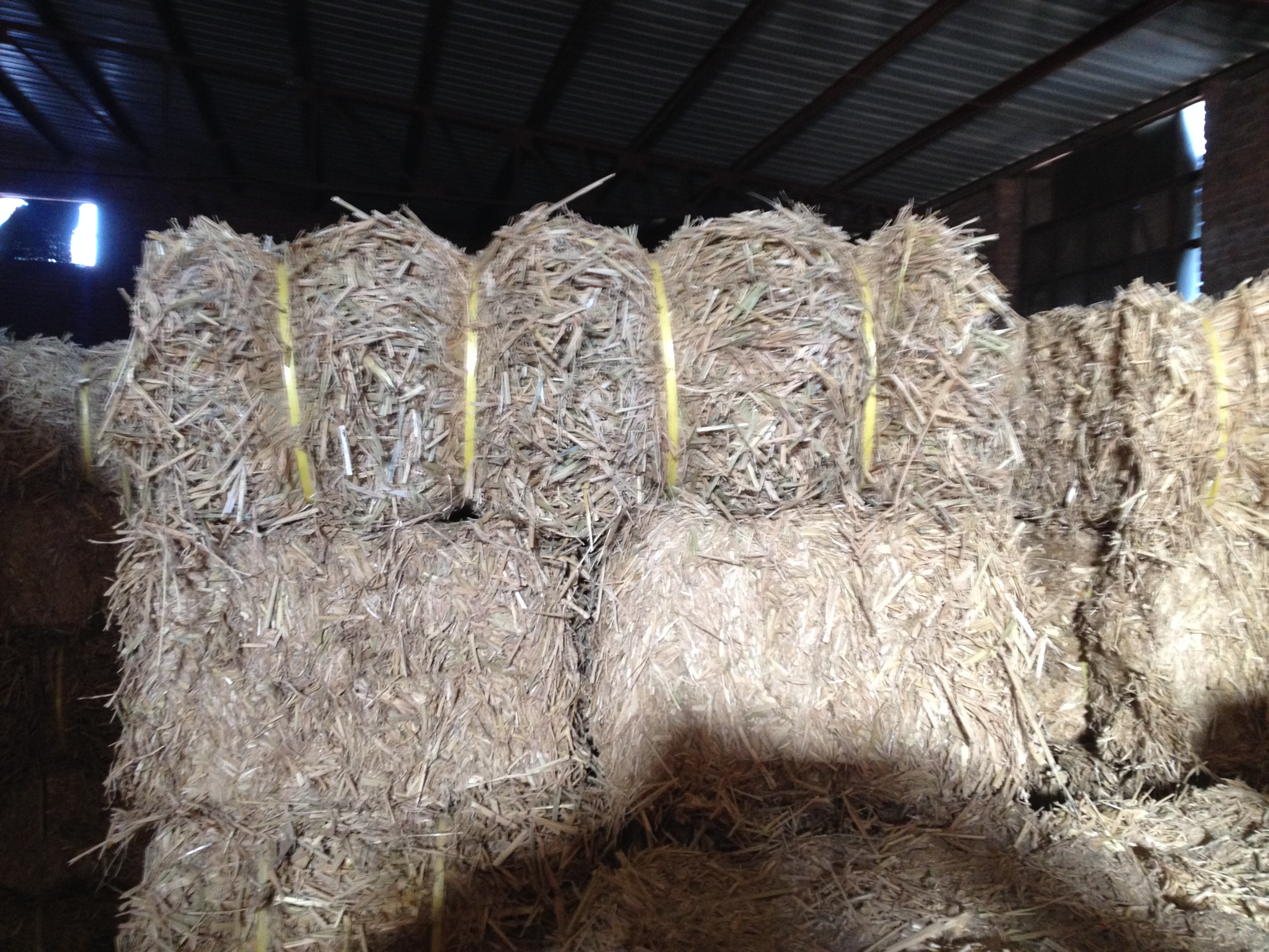 供應(yīng)唐山飼草稻草飼料，飼草價(jià)格，唐山飼料稻草，