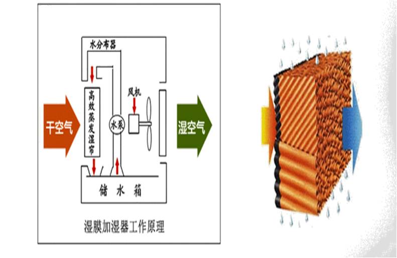 供應(yīng)電子廠純凈型濕膜加濕機(jī)