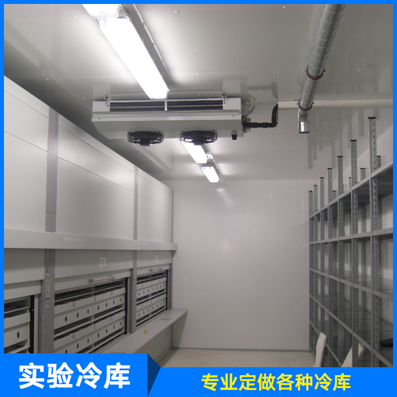 供應(yīng)廠家直銷生產(chǎn)定制制冷設(shè)備保鮮庫實驗冷庫