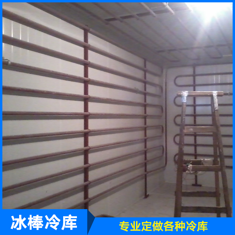 供應(yīng)廠家直銷生產(chǎn)定制制冷設(shè)備服務(wù)冰棒冷庫