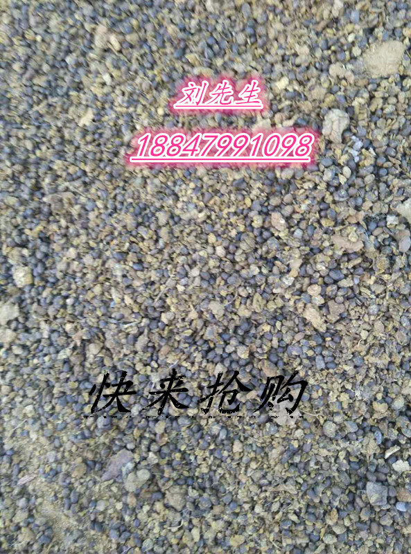 供應(yīng)用于農(nóng)業(yè)種植的內(nèi)蒙古優(yōu)質(zhì)草原羊糞肥