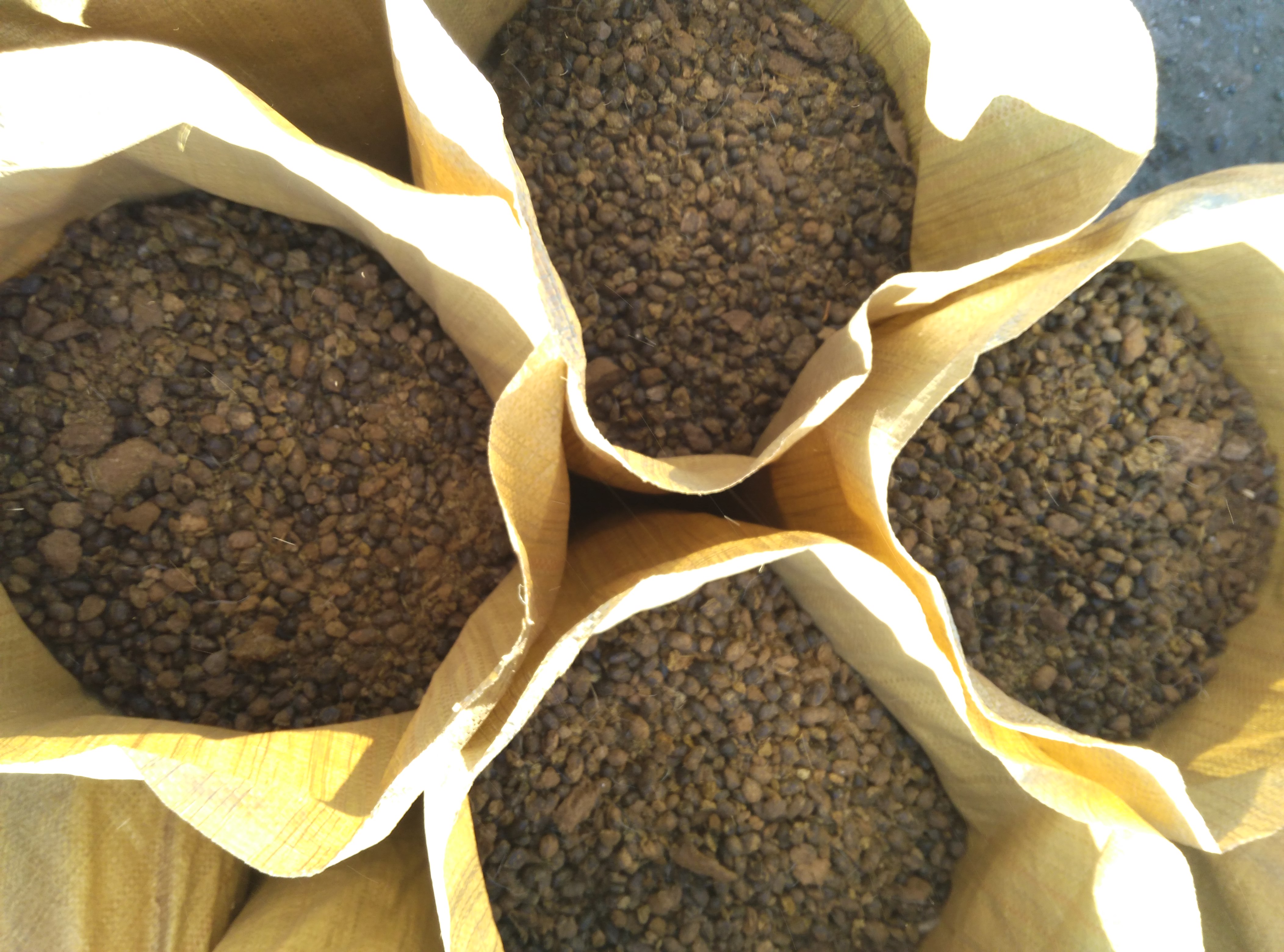 供應(yīng)用于農(nóng)業(yè)種植的內(nèi)蒙古優(yōu)質(zhì)草原羊糞肥