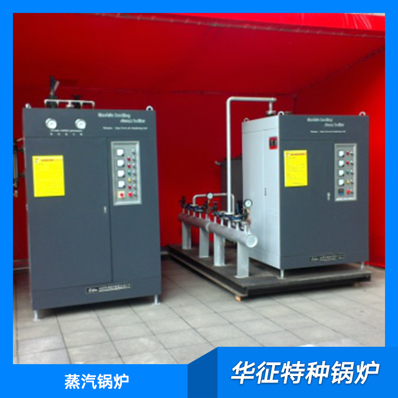 供應(yīng)蒸汽鍋爐供應(yīng)商 燃?xì)庹羝仩t 電熱蒸汽鍋爐 燃?xì)庹羝仩t