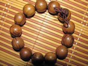 供應(yīng)南寧楠木苗價格