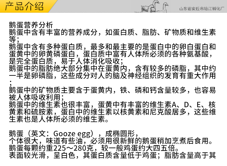 山東鵝蛋報(bào)價(jià)，農(nóng)家鵝蛋批發(fā)價(jià)格， 鵝蛋的功效與作用