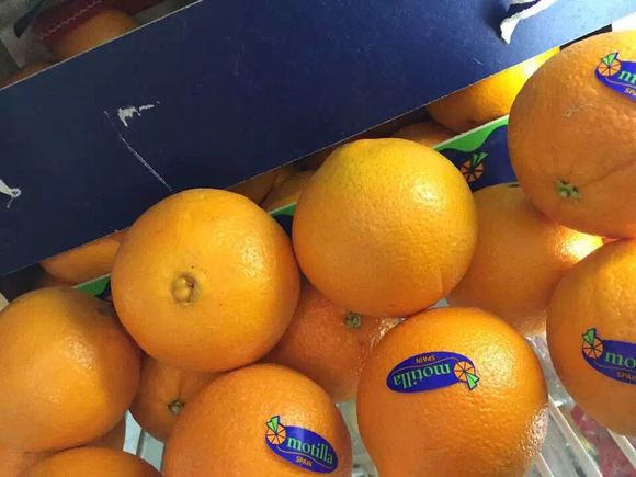 供應用于服務的天津進口水果專業(yè)的報關(guān)公司  天津進口水果價格