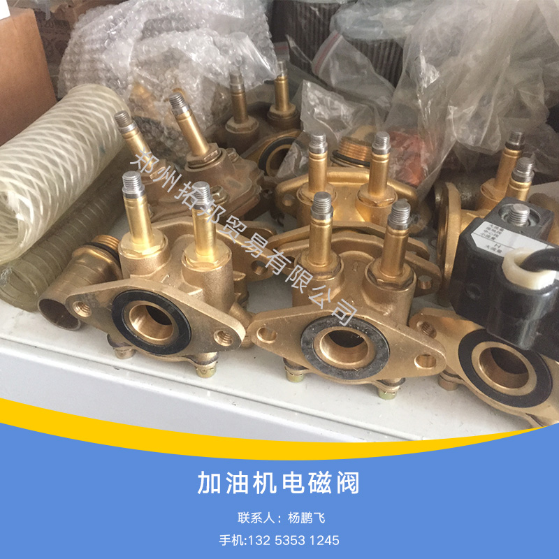 供應(yīng)廠家直銷加油機(jī)電磁閥生產(chǎn)廠家雙流量電磁閥標(biāo)準(zhǔn)加油機(jī)電磁閥