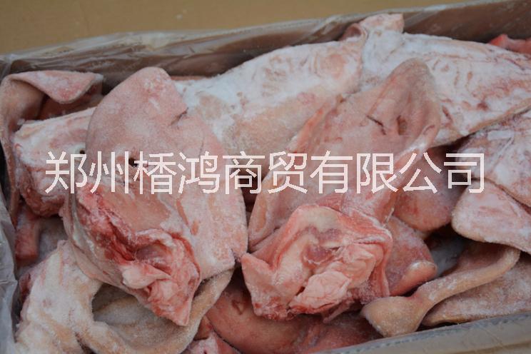 豬頭 豬蹄 豬大腸 冷凍豬頭 冷凍豬蹄 冷凍豬大腸 鄭州批發(fā)帶耳朵豬頭 202豬蹄批發(fā)廠家 豬大腸供應(yīng)價格