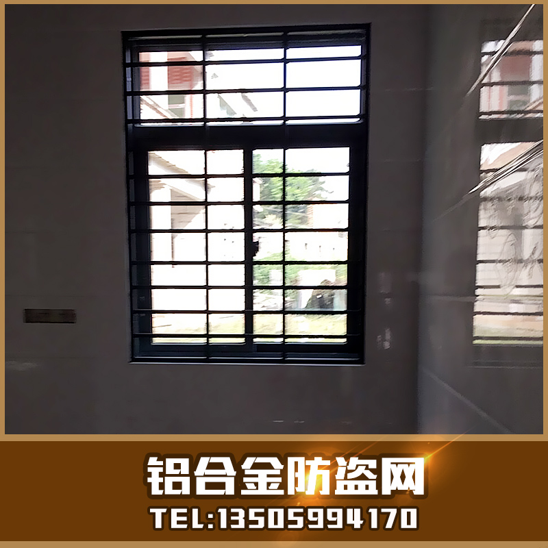 供應(yīng)福建優(yōu)質(zhì)鋁合金防盜網(wǎng)報(bào)價(jià) 防盜窗大量現(xiàn)貨