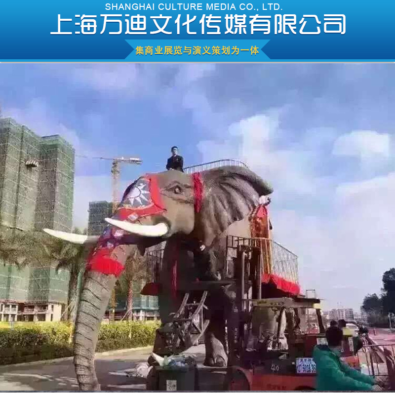供應巡游大象展 會展活動 大型展會 展會搭建 展會報價
