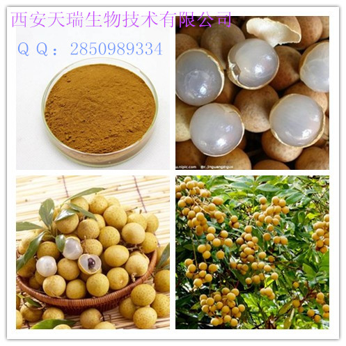 供應(yīng)桂圓粉，天瑞生物桂圓粉，西安桂圓粉