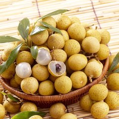 供應(yīng)桂圓粉，天瑞生物桂圓粉，西安桂圓粉