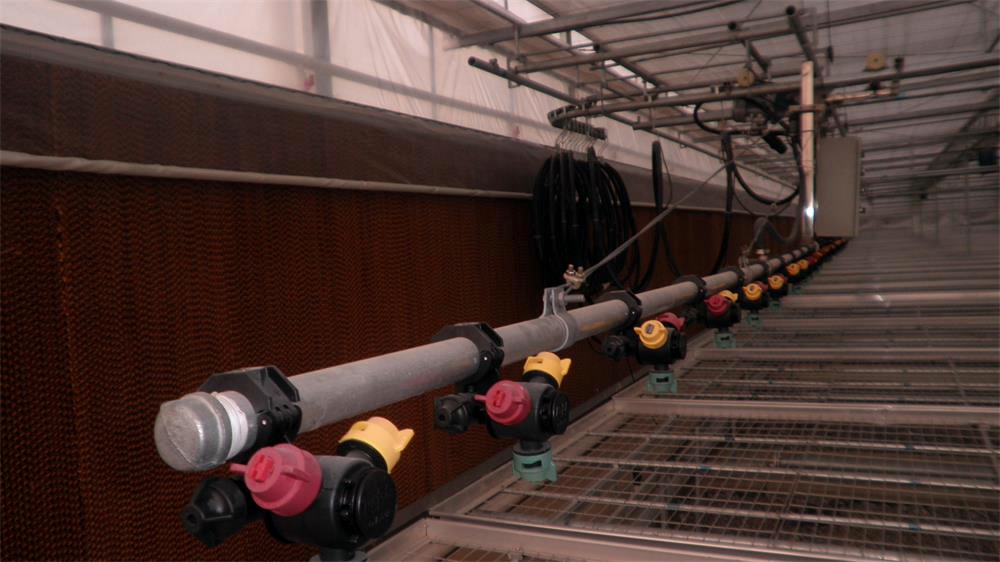 邯鄲溫室全自動(dòng)噴灌機(jī)水車 全自動(dòng)調(diào)速溫室育苗噴灌機(jī) 大棚噴灌機(jī)噴水車噴灌設(shè)備廠家廠價(jià) 溫室全自動(dòng)調(diào)速噴灌機(jī)水車--邯鄲