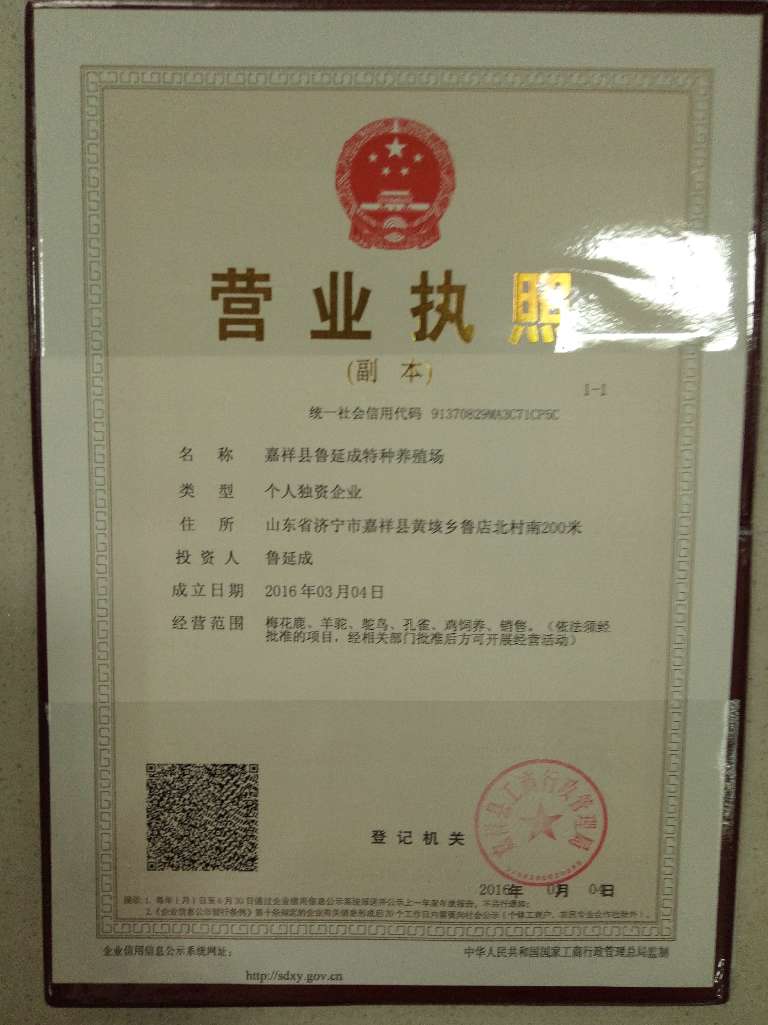 供應(yīng)養(yǎng)殖*好養(yǎng)嗎