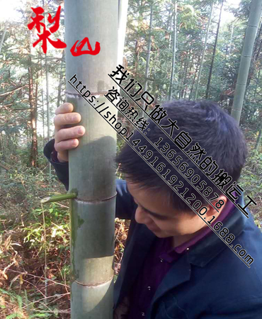 福建竹筒酒 *竹筒酒 原生態(tài)竹筒酒廠家招商代理加盟