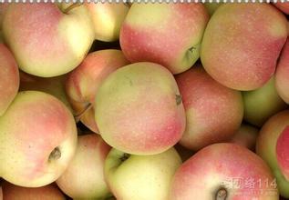 山東蘋果山東藤木蘋果批發(fā)