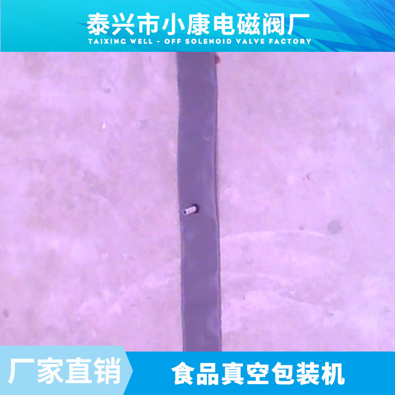 供應(yīng)食品真空包裝機廠家 真空包裝機 充氮真空包裝機 食品真空包