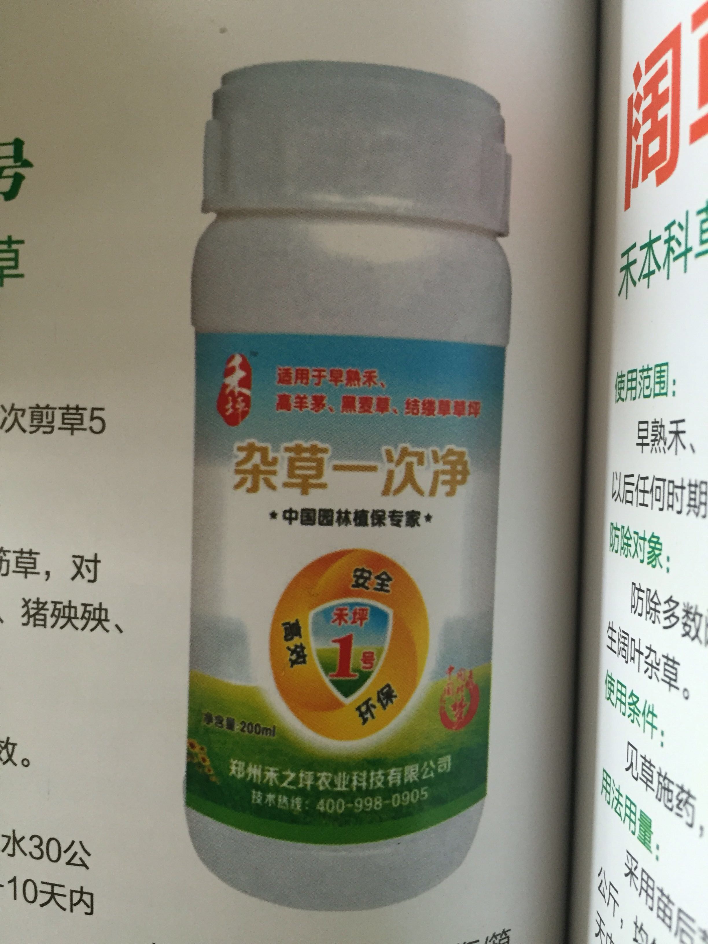 石家莊大禹園林供應(yīng)綠化草坪*白三葉* 廠家直銷*惠