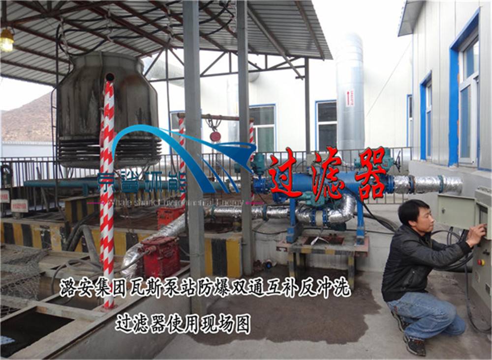 供應(yīng)全自動(dòng)雙通互補(bǔ)反沖洗過(guò)濾器