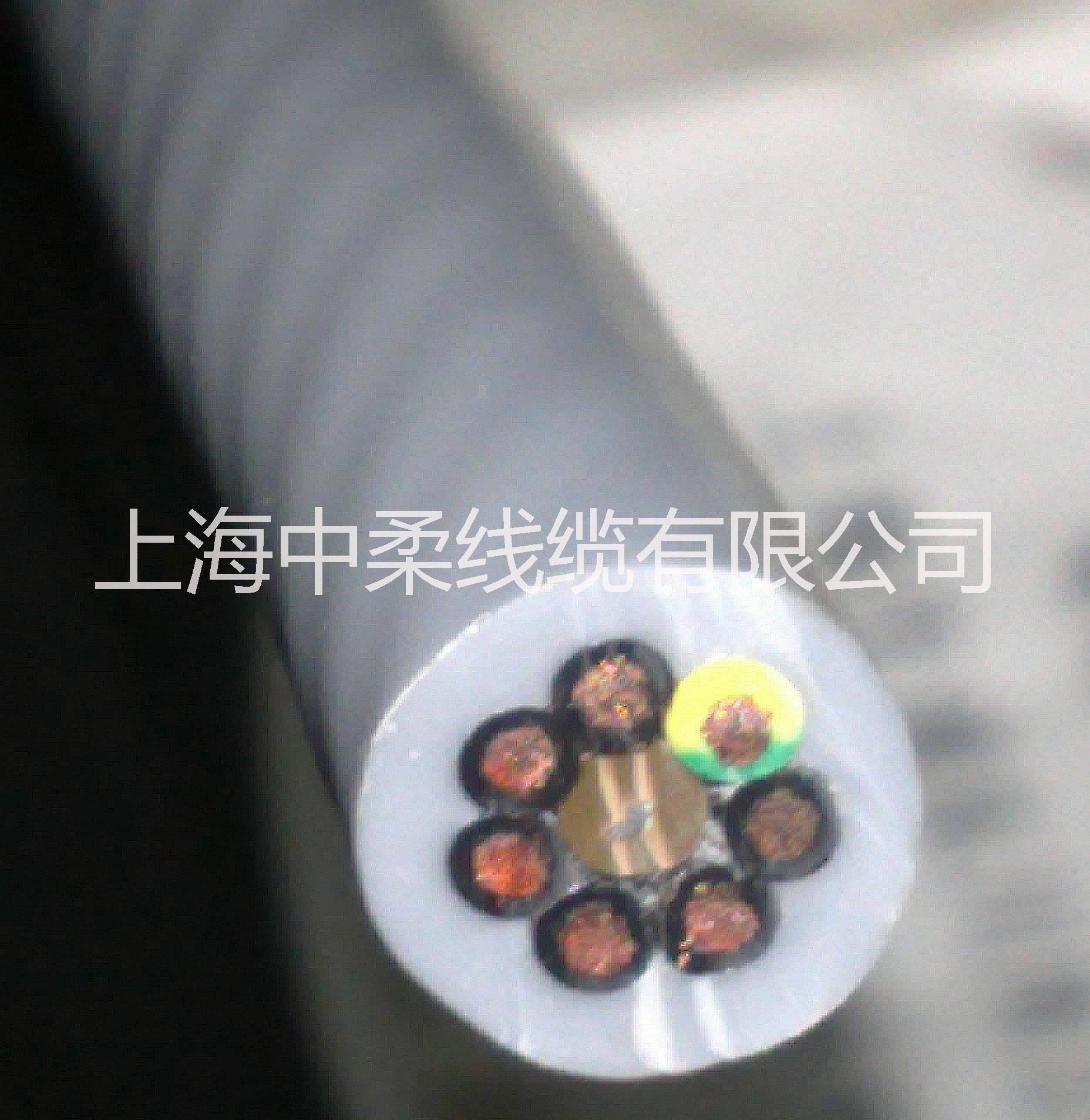 上海中柔廠家供應(yīng)絕緣高壓耐熱耐油拖鏈電線電纜TRVV