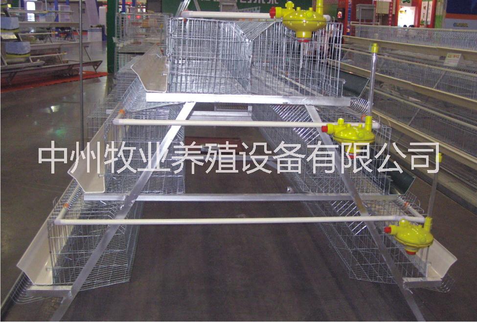 供應中州蛋雞籠 三層階梯式 廠家直銷
