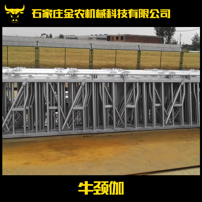 供應牛頸伽 畜牧養(yǎng)殖業(yè)機械 養(yǎng)牛設備 牛欄配件 自鎖式牛頸伽