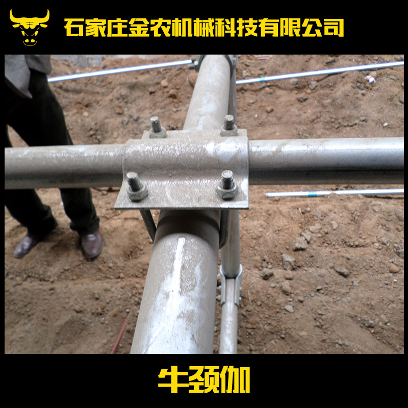 供應牛頸伽 畜牧養(yǎng)殖業(yè)機械 養(yǎng)牛設備 牛欄配件 自鎖式牛頸伽