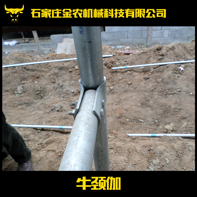 供應牛頸伽 畜牧養(yǎng)殖業(yè)機械 養(yǎng)牛設備 牛欄配件 自鎖式牛頸伽