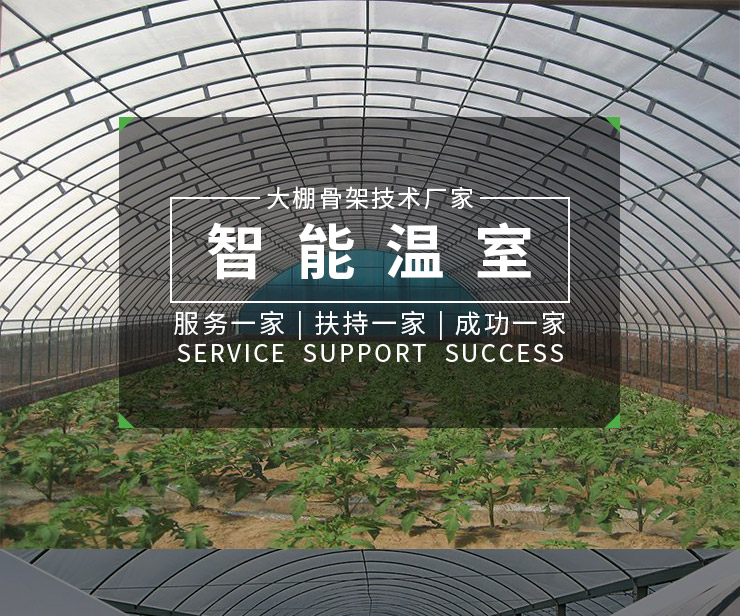 供應(yīng)溫室大棚骨架建造，2015年新型溫室大棚骨架，石家莊溫室大鵬